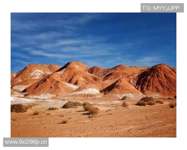 武汉极限运动队的耐力挑战与激情探秘之旅