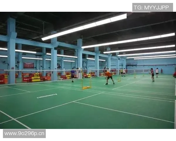 深圳羽毛球队在联合会杯中的心理素质分析与表现评估